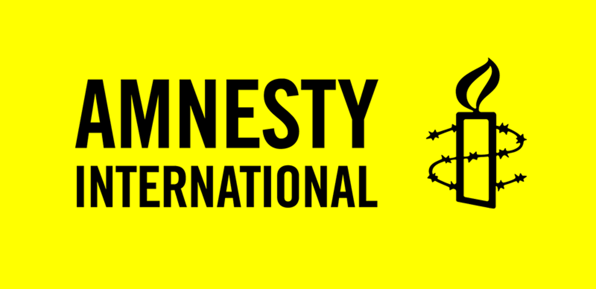 Image result for Protesters ask Amnesty International to leave Nigeria