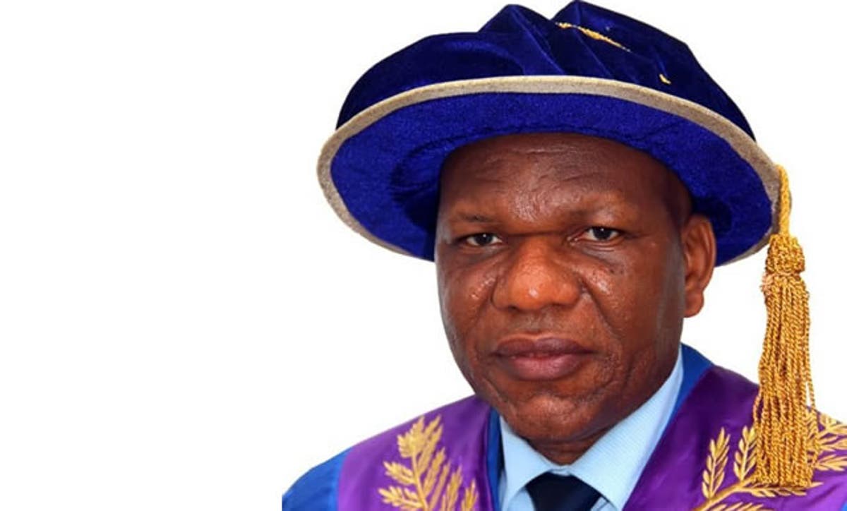 Prof. Eyitope Ogunbodede, Vice Chancellor, OAU. Photo: Punch Newspaper
