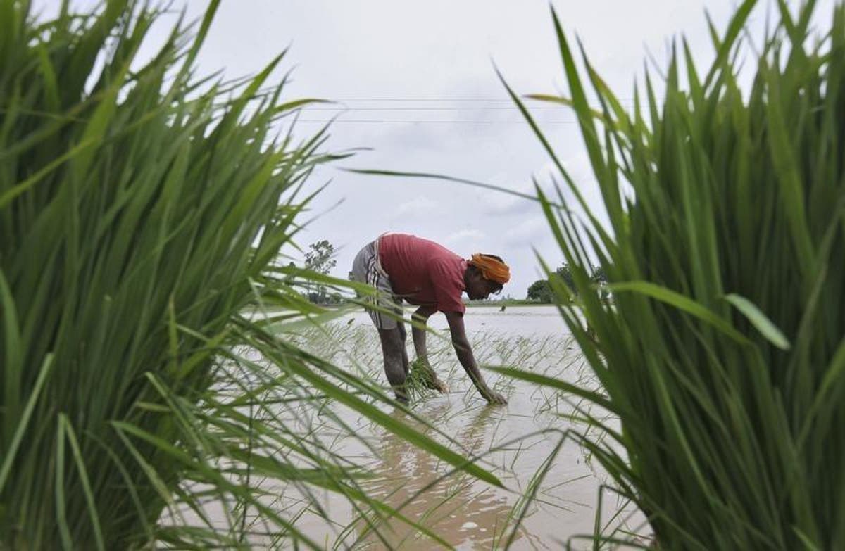 Image result for How Many Irrigation Projects Has the Modi Government Completed?
