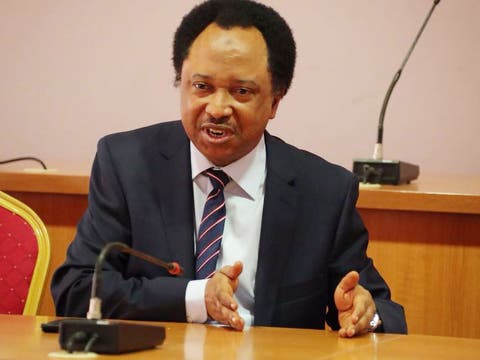 Why North is Tolerating Buhari - Shehu Sani